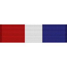 Montana National Guard Distinguished Patriotic Medal Ribbon